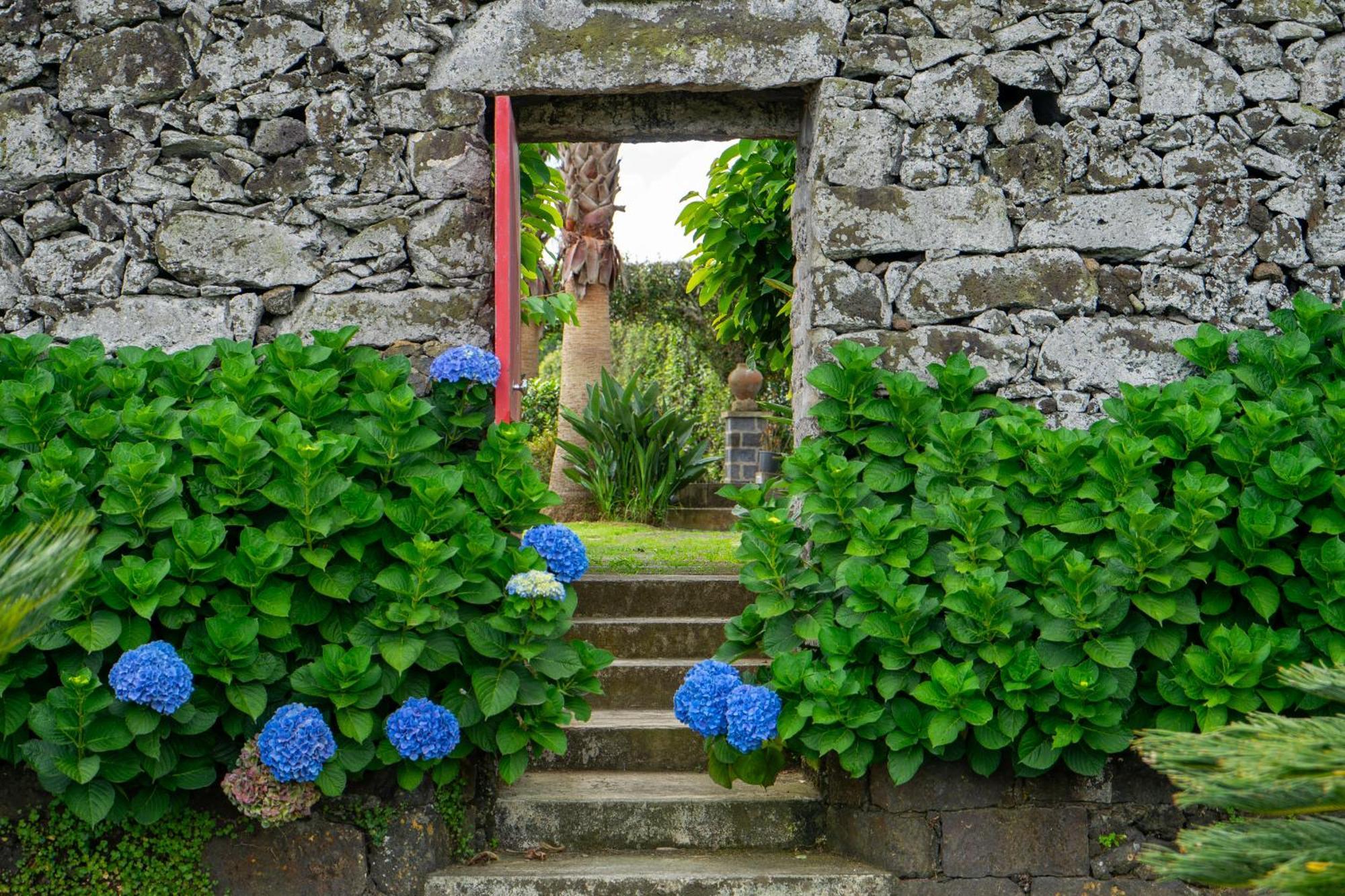 Quinta Da Paz Azores Pico da Pedra Luaran gambar